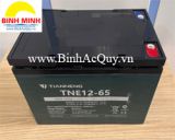 Ắc quy Xe điện Tianneng TNE12-65(12V/65Ah), Ắc quy Tianneng TNE12-65(12V/65Ah), Báo giá Ắc quy Tianneng TNE12-65(12V/65Ah) chất lượng cao